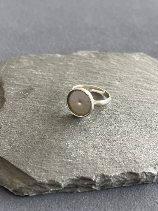 5個 リング空枠 ステンレススチール 皿12mm 約13号 調整可