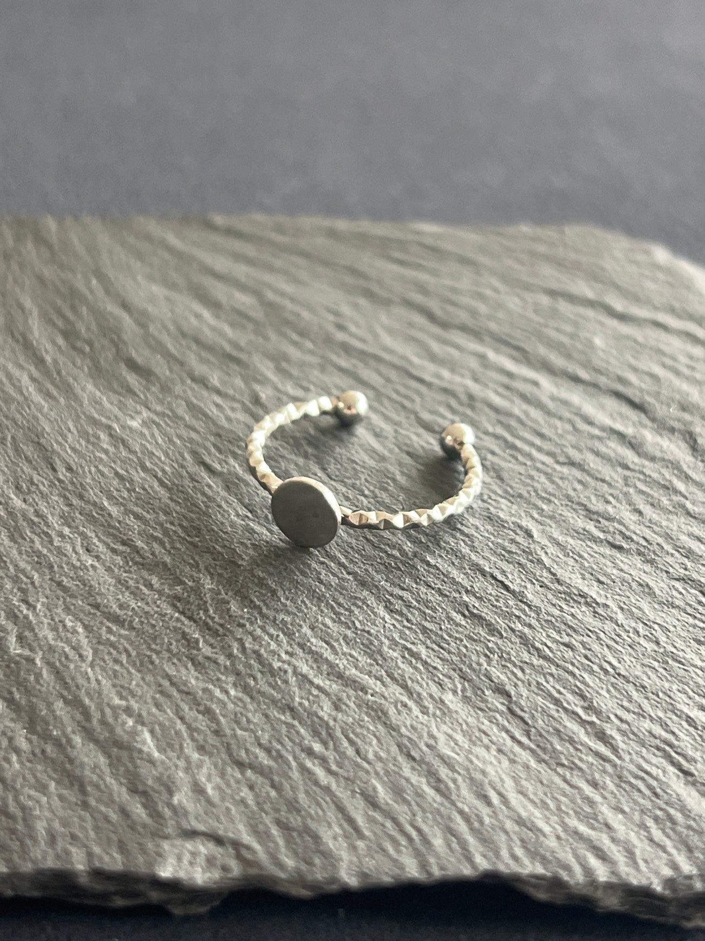 5個 リング空枠 ステンレススチール 皿6mm 約11号 調整可