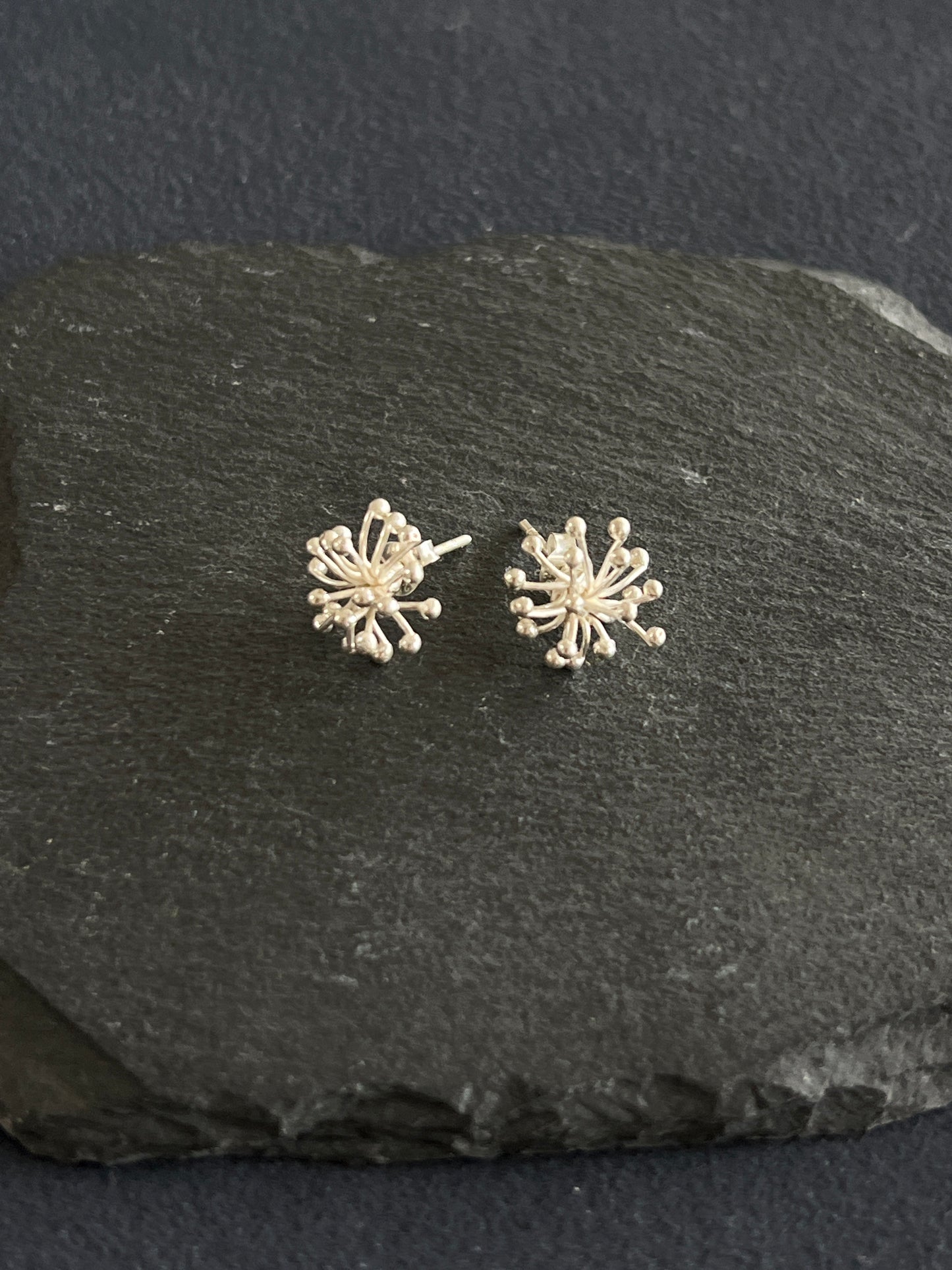 カレンシルバー スタッドピアス 約20×14mm
