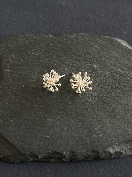 カレンシルバー スタッドピアス 約20×14mm