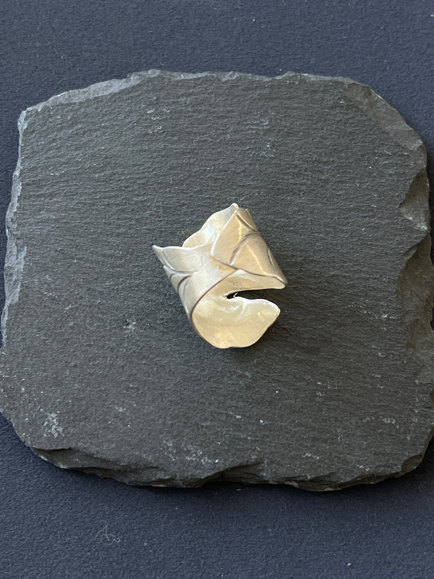 1個 リング カレンシルバー　30mm